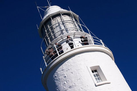 Fully Guided Bruny Island Lighthouse Tour - Taree Accommodation 1
