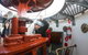 Fully Guided Bruny Island Lighthouse Tour - thumb 5