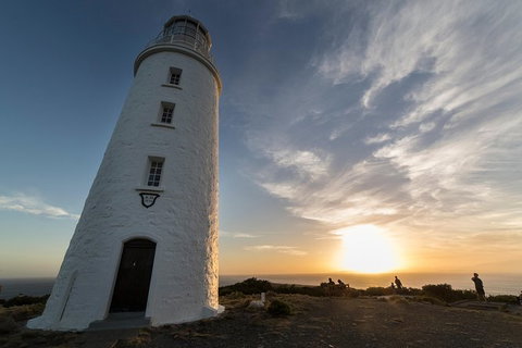 Bruny Island Sunset Lighthouse Tour - Taree Accommodation 4
