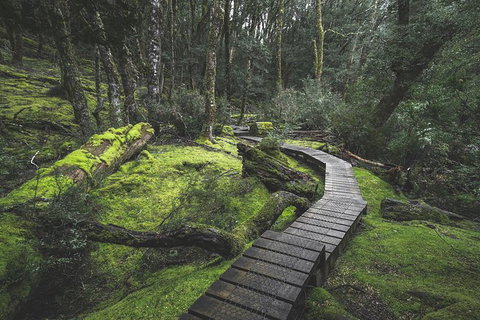 Cradle Mountain In A Day From Hobart - Taree Accommodation 3