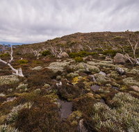 Alpine Loop - Taree Accommodation