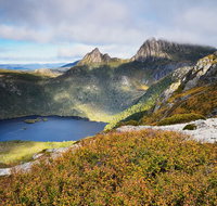 Cradle Mountain Private Charter Service - Taree Accommodation
