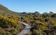 Hartz Mountains Premium Private Photo-oriented Day Tour From Hobart - thumb 0