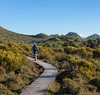 Hartz Mountains premium private photo-oriented day tour from Hobart - Taree Accommodation