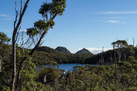 Hartz Mountains Premium Private Photo-oriented Day Tour From Hobart - Taree Accommodation 1