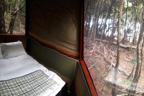 3-Day Southwest National Park Wilderness Camping Tour - Taree Accommodation 7