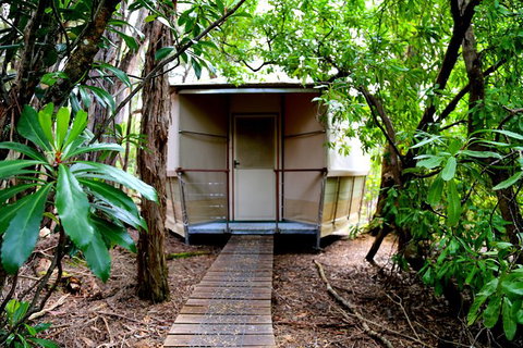3-Day Southwest National Park Wilderness Camping Tour - Taree Accommodation 2