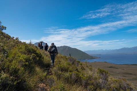 3-Day Southwest National Park Wilderness Camping Tour - Taree Accommodation 1