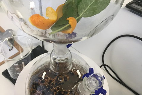 Master Gin Making Classes - Taree Accommodation 3