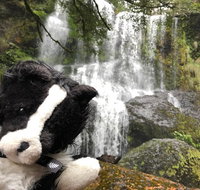 Waterfalls Guided Tour - Taree Accommodation