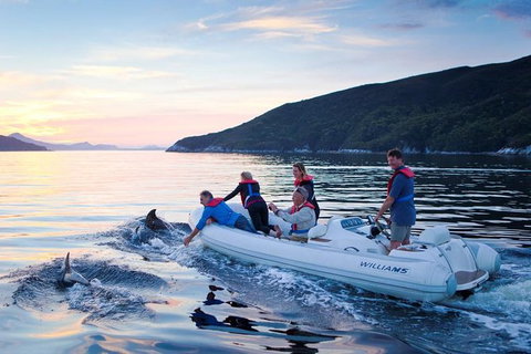 4-Day Cruise Expedition Of Southwest Tasmania\'s World Heritage From Hobart - Taree Accommodation 1