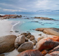 Wineglass Bay Private Charter Service - Taree Accommodation