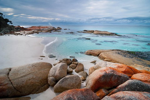 Wineglass Bay Private Charter Service - Taree Accommodation 0
