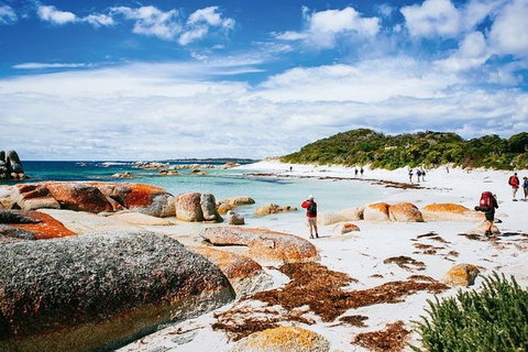 Wineglass Bay Private Charter Service - Taree Accommodation 2