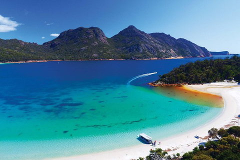 Wineglass Bay Private Charter Service - Taree Accommodation 3