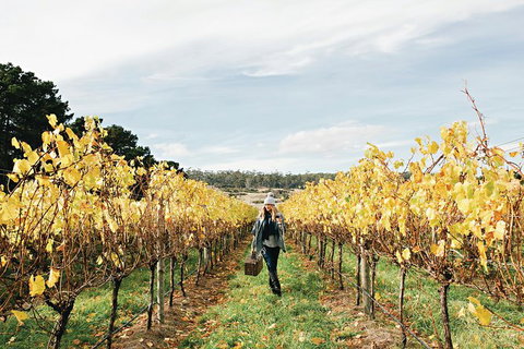 One-Way East Coaster - Taree Accommodation 4