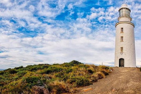 Bruny Island Private Charter Service - Taree Accommodation 3