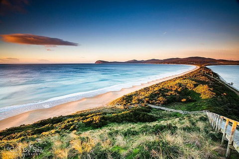 Bruny Island Private Charter Service - Taree Accommodation 0