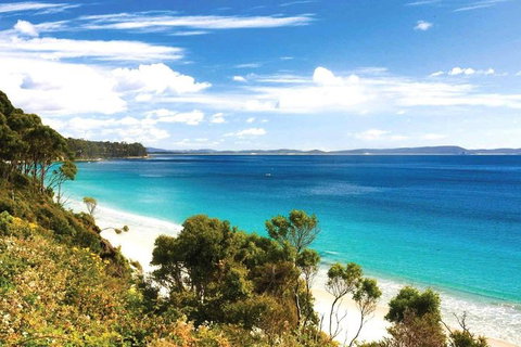 Bruny Island Private Charter Service - Taree Accommodation 1