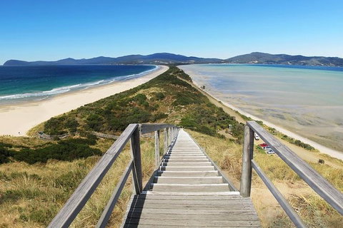 Bruny Island Private Charter Service - Taree Accommodation 2