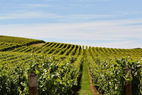 Launceston Wine & Sightseeing Tours - Taree Accommodation 3