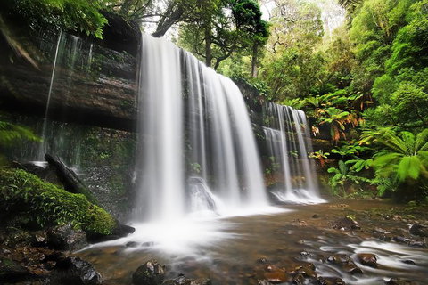 Mount Field Private Charter Service - Taree Accommodation 1