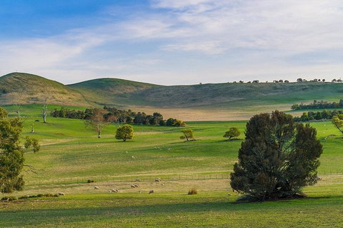 Mount Field Private Charter Service - Taree Accommodation 4