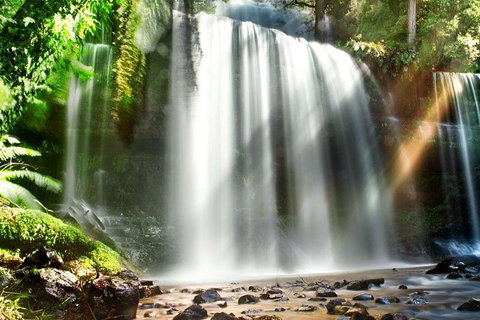 Mount Field Private Charter Service - Taree Accommodation 0