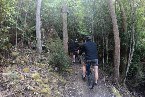 Explore Downhill Mountain In 3-Hour Bike Tour From Hobart - Taree Accommodation 5