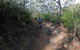 Explore Downhill Mountain In 3-Hour Bike Tour From Hobart - thumb 1