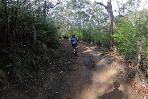 Explore Downhill Mountain In 3-Hour Bike Tour From Hobart - Taree Accommodation 1