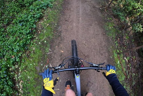 Explore Downhill Mountain In 3-Hour Bike Tour From Hobart - Taree Accommodation 4