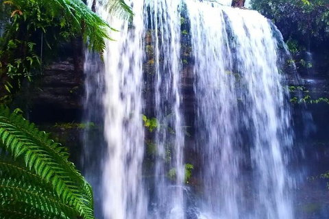 Hobart Minibus Full-Day Private Tour - Taree Accommodation 5