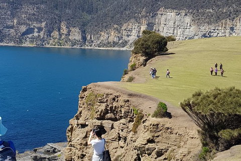 Hobart Minibus Full-Day Private Tour - Taree Accommodation 1