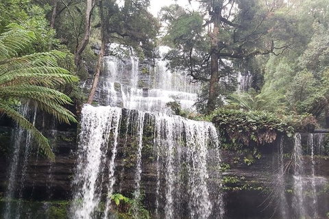 6-Day Small-Group Hearty Tasmania Tour From Hobart - Taree Accommodation 5