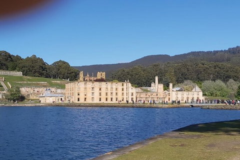 6-Day Small-Group Hearty Tasmania Tour From Hobart - Taree Accommodation 6