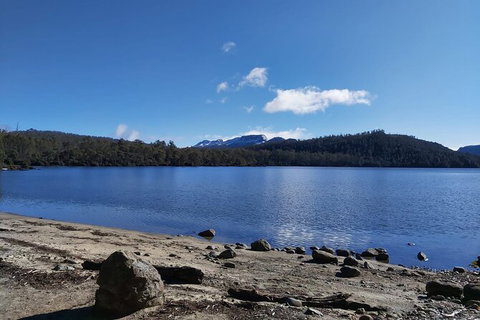 6-Day Small-Group Hearty Tasmania Tour From Hobart - Taree Accommodation 4