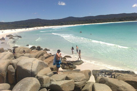 6-Day Small-Group Hearty Tasmania Tour From Hobart - Taree Accommodation 3