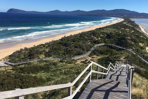 4-Day Fabulous Tasmania Tour: Wineglass Bay, Port Arthur, Devils & Bruny Island - Taree Accommodation 3