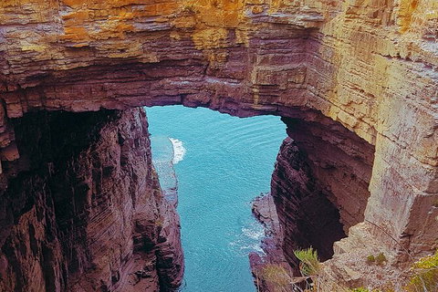 4-Day Fabulous Tasmania Tour: Wineglass Bay, Port Arthur, Devils & Bruny Island - Taree Accommodation 6