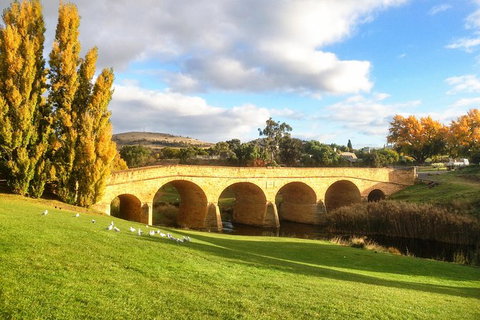 4-Day Fabulous Tasmania Tour: Wineglass Bay, Port Arthur, Devils & Bruny Island - Taree Accommodation 7