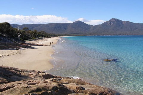 4-Day Fabulous Tasmania Tour: Wineglass Bay, Port Arthur, Devils & Bruny Island - Taree Accommodation 10