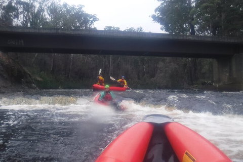 Twin Rivers Winter Adventure - Taree Accommodation 4