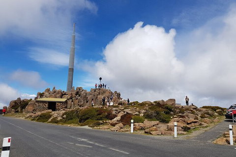 Mt. Wellington Morning Hike + Afternoon Beer & History Walk - Taree Accommodation 21