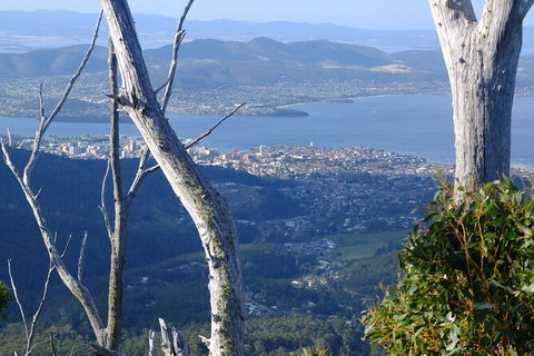 Mt. Wellington Morning Hike + Afternoon Beer & History Walk - Taree Accommodation 10