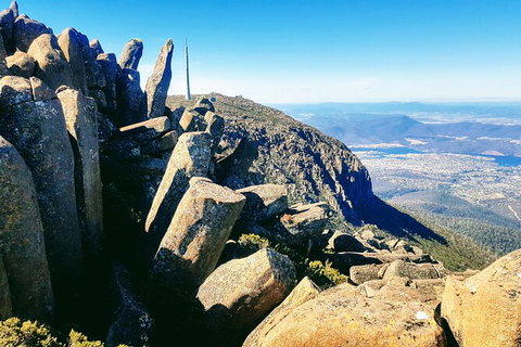 Mt. Wellington Morning Hike + Afternoon Beer & History Walk - Taree Accommodation 11
