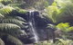 Mt. Wellington Morning Hike + Afternoon Beer & History Walk - thumb 16