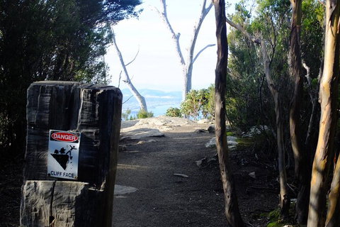 Mt. Wellington Morning Hike + Afternoon Beer & History Walk - Taree Accommodation 14