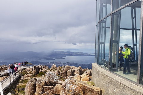 Mt. Wellington Morning Hike + Afternoon Beer & History Walk - Taree Accommodation 12