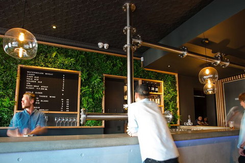 Mt. Wellington Morning Hike + Afternoon Beer & History Walk - Taree Accommodation 15